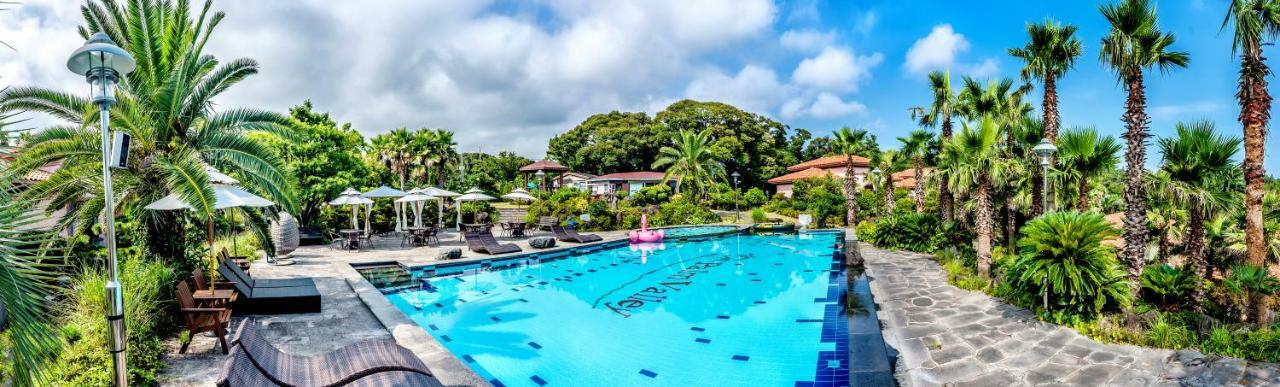 Palm Valley Resort Сеогвипо Екстериор снимка